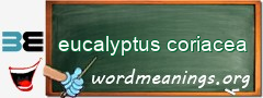 WordMeaning blackboard for eucalyptus coriacea